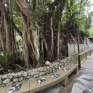 KL Deer Park - row of aviaries