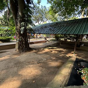 African Spurred Tortoise Exhibit