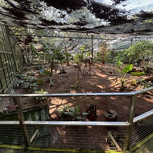 Walk-through Aviary