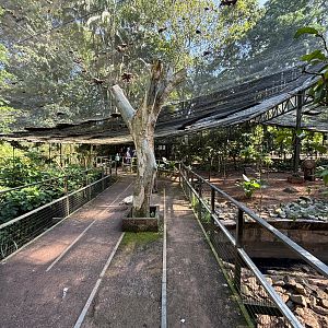 Walk-through Aviary