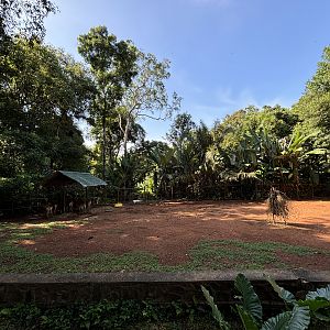 Kafue Lechwe Exhibit #1