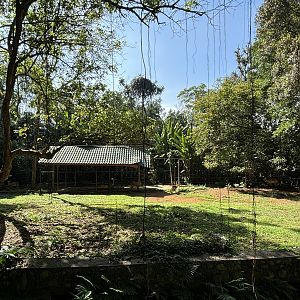 Kafue Lechwe Exhibit #2