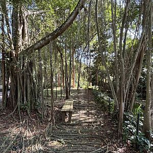 The jungle takes over the pathways