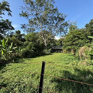Cassowary Exhibit #1