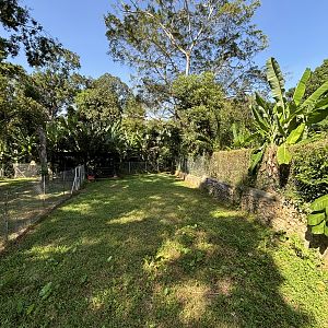 Cassowary Exhibit #2