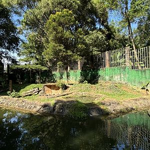 Malayan Tiger Exhibit