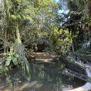 False Gharial Exhibit