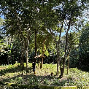 Agile Gibbon Exhibit