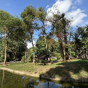 Agile Gibbon Exhibit