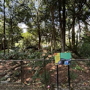Malayan Box Turtle Exhibit