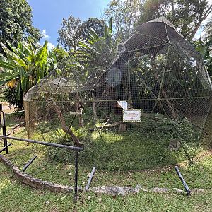 Brown Lemur Exhibit - damaged and closed