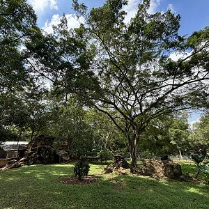 Mainland Serow Exhibit
