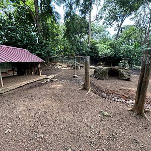 Javan Rusa Deer Exhibit