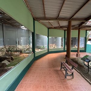 Reptile House - very small