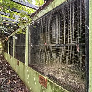 Small Carnivore Complex - closed down