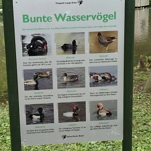 Waterfowl sign