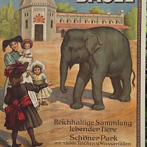 Zoo poster display