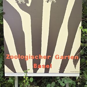 Zoo poster display