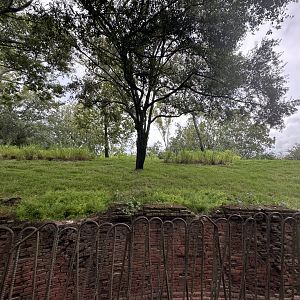 Sep. 2023 - Maharajah Jungle Trek - Replanted Exhibit (1)