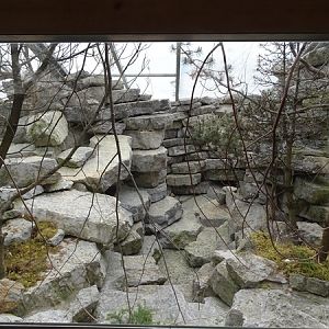 Rock ptarmigan enclosure