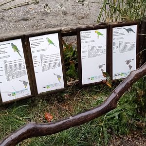 American aviary signage