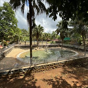 Saltwater Crocodile Exhibit