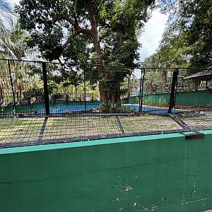 False Gharial Exhibit