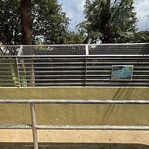Siamese Crocodile Exhibit