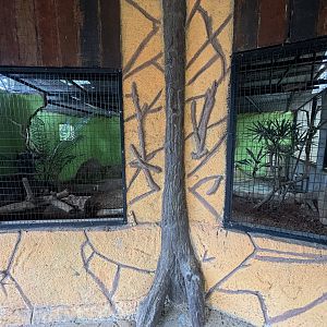 Ring-necked Pheasant Exhibit