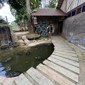 River Terrapin Exhibit