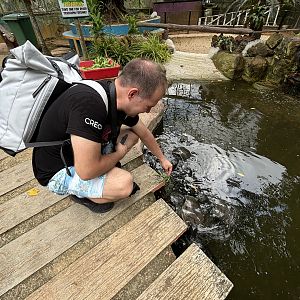 Zoo Nerd feeding River Terrapins