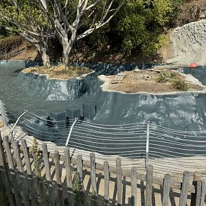 Swan Lake Construction