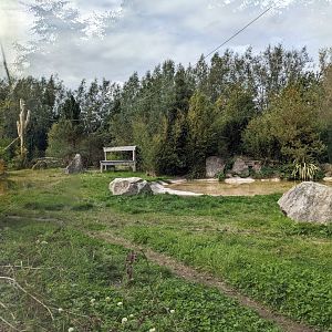 Tiger Enclosure