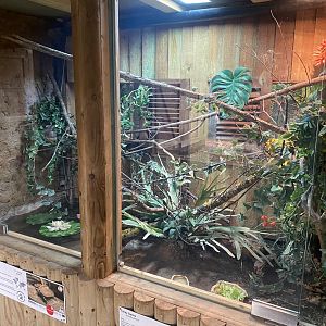 Reptile House - Adjacent exhibits 030924
