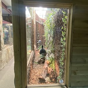 Reptile House - Mixed exhibit 030924