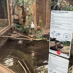 Reptile House - Mixed exhibit 030924