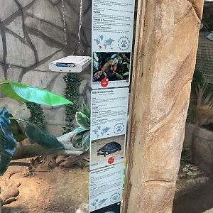 Reptile House - Signage example 030924