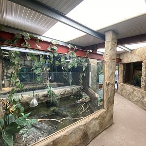 Reptile House - Mixed exhibit 030924