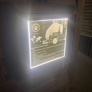 Nocturnal House - Signage example 030924