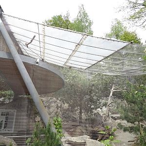 Black grouse / mountain hare aviary