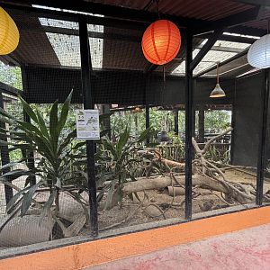 California Quail Aviary