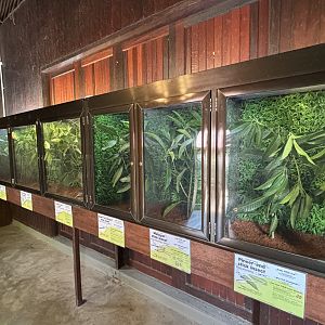A room with 9 different stick insect exhibits