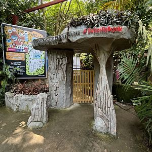 Butterfly Entrance Zone