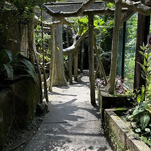 Butterfly Walk-through