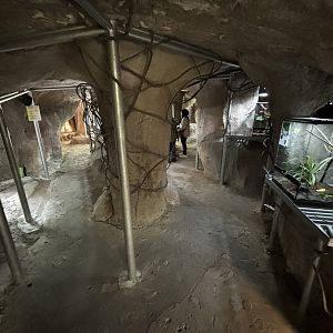 Cave Terrarium Area