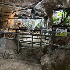 Cave Terrarium Area