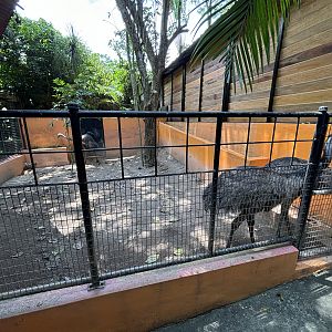Emu Exhibit