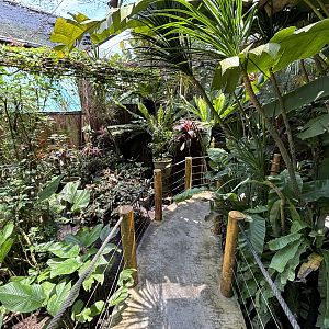 Walk-through Aviary