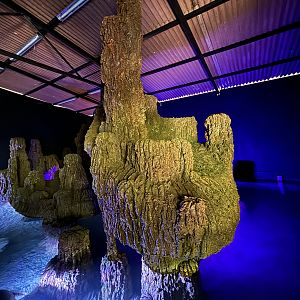 Pig-nosed Turtle Cave Exhibit