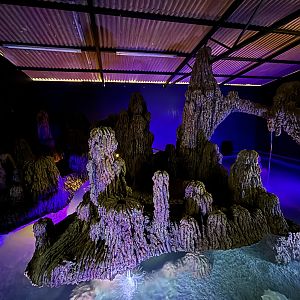 Pig-nosed Turtle Cave Exhibit